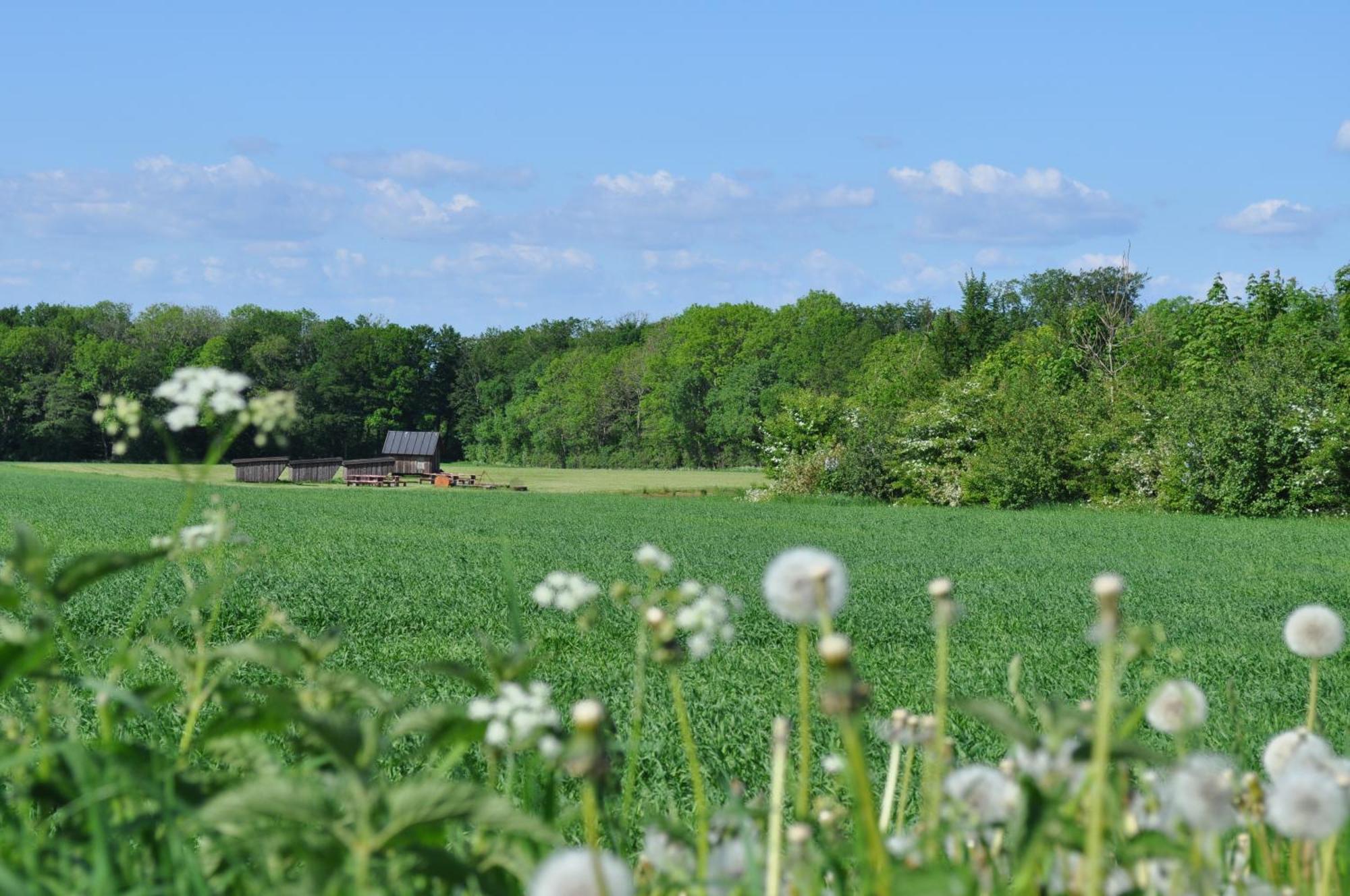 Koebenhovedskov Bed & Breakfast Rødding Zewnętrze zdjęcie