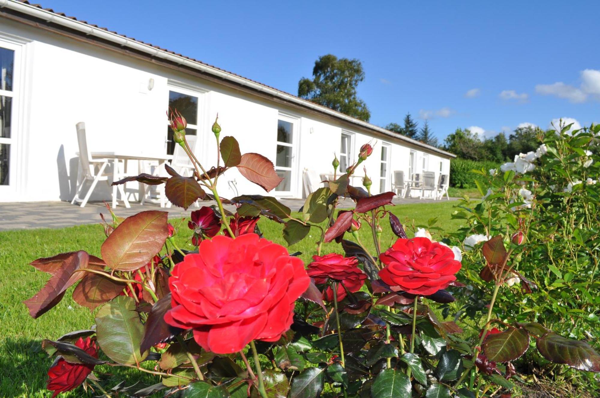 Koebenhovedskov Bed & Breakfast Rødding Zewnętrze zdjęcie
